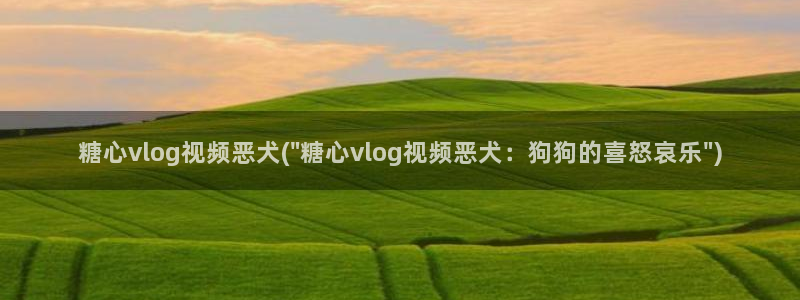 糖心volge