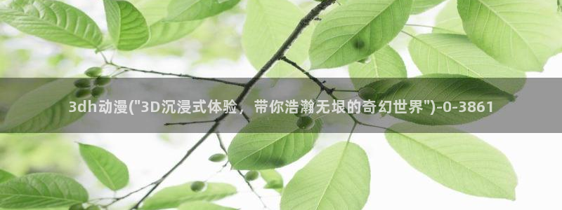 黑猫动漫