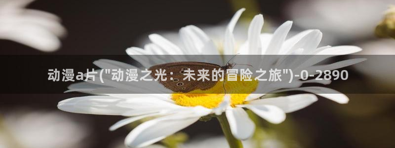 在线动漫：动漫a片(\