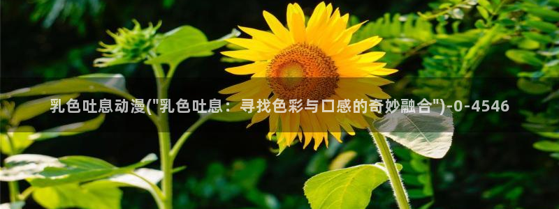 动漫新番